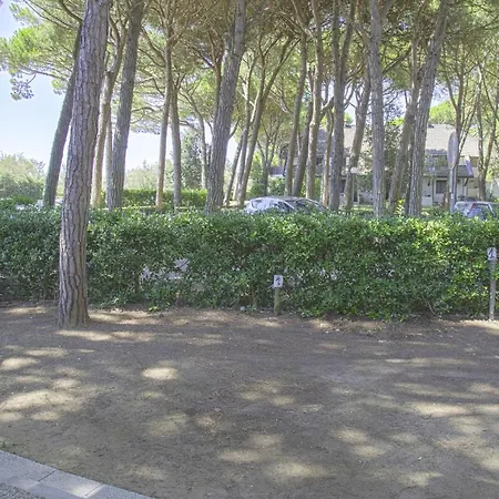 Διαμέρισμα In Pine Forest Near The *