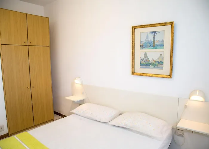 In Pine Forest Near The Apartament *